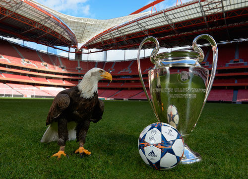 学与伦理委 学与伦理委